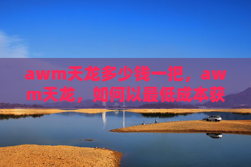 awm天龙多少钱一把，awm天龙，如何以最低成本获取并使用