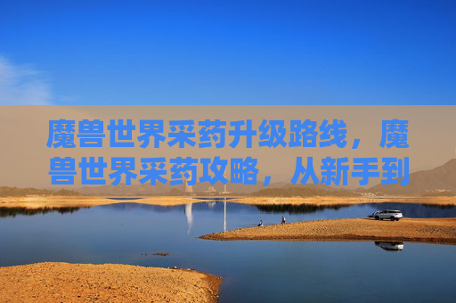 魔兽世界采药升级路线，魔兽世界采药攻略，从新手到专家的全面指南