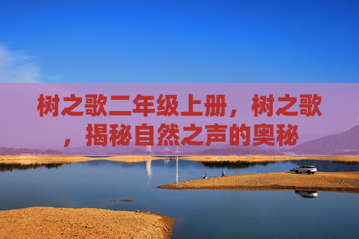 树之歌二年级上册，树之歌，揭秘自然之声的奥秘