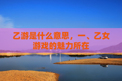 乙游是什么意思，一、乙女游戏的魅力所在