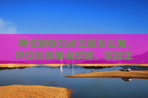 神泣刺客加点王道怎么加，神泣刺客加点攻略，掌握王道，成为游戏中的终极刺客
