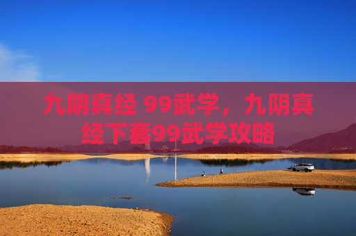 九阴真经 99武学，九阴真经下套99武学攻略