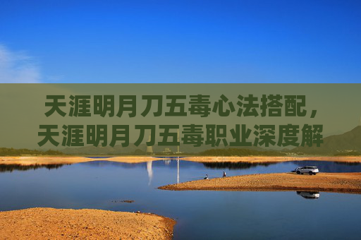 天涯明月刀五毒心法搭配，天涯明月刀五毒职业深度解析，策略与技巧全攻略