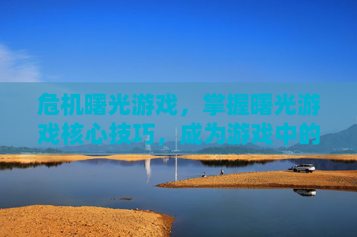 危机曙光游戏，掌握曙光游戏核心技巧，成为游戏中的佼佼者