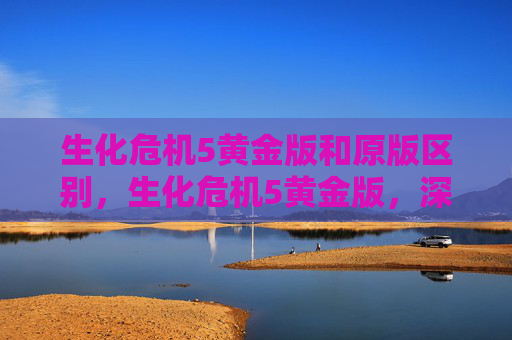 生化危机5黄金版和原版区别，生化危机5黄金版，深入探索与技巧攻略