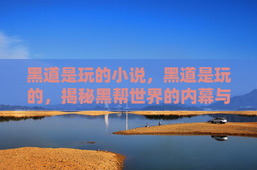 黑道是玩的小说，黑道是玩的，揭秘黑帮世界的内幕与生存之道