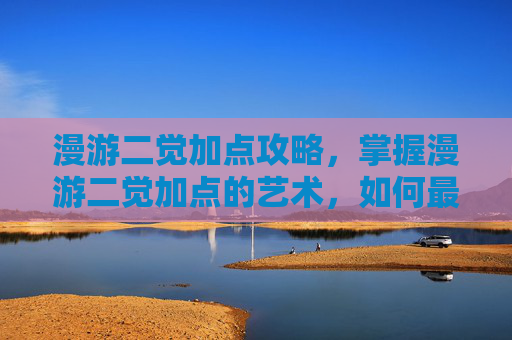 漫游二觉加点攻略，掌握漫游二觉加点的艺术，如何最大化你的输出潜力