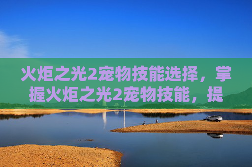 火炬之光2宠物技能选择,掌握火炬之光2宠物技能,提升战斗效率与策略深度 火炬之光2宠物技能选择,掌握火炬之光2宠物技能,提升战斗效率与策略深度