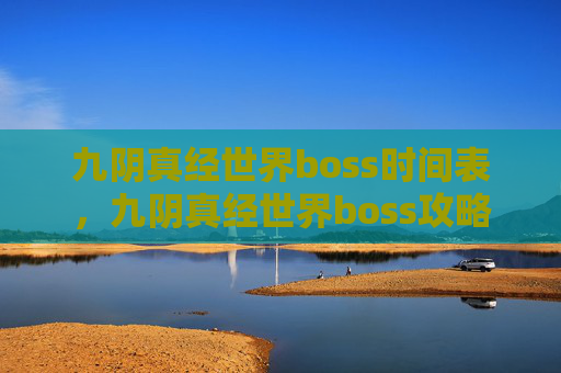 九阴真经世界boss时间表，九阴真经世界boss攻略