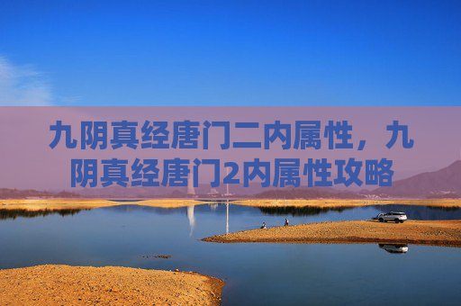 九阴真经唐门二内属性，九阴真经唐门2内属性攻略