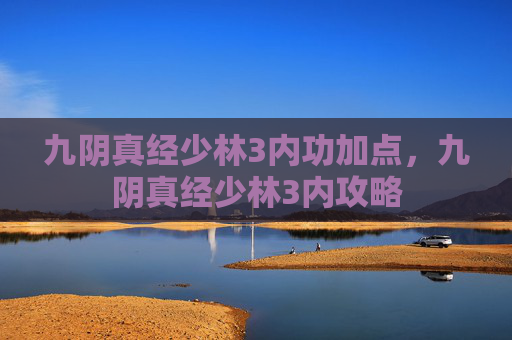 九阴真经少林3内功加点，九阴真经少林3内攻略