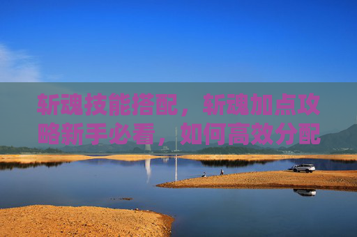 斩魂技能搭配,斩魂加点攻略新手必看,如何高效分配角色技能点? 斩魂技能搭配,斩魂加点攻略新手必看,如何高效分配角色技能点?