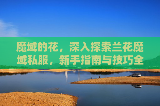 魔域的花，深入探索兰花魔域私服，新手指南与技巧全解析