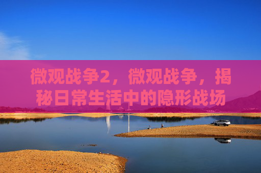 微观战争2，微观战争，揭秘日常生活中的隐形战场