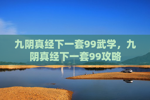 九阴真经下一套99武学，九阴真经下一套99攻略