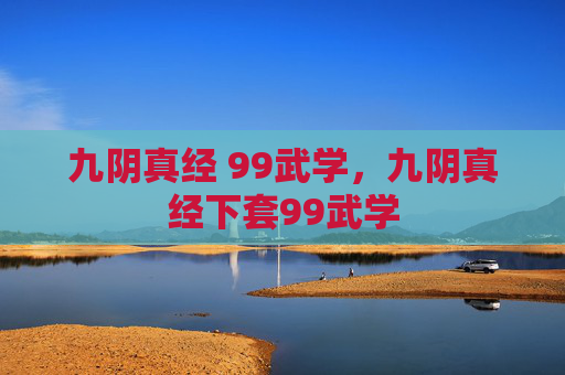 九阴真经 99武学，九阴真经下套99武学
