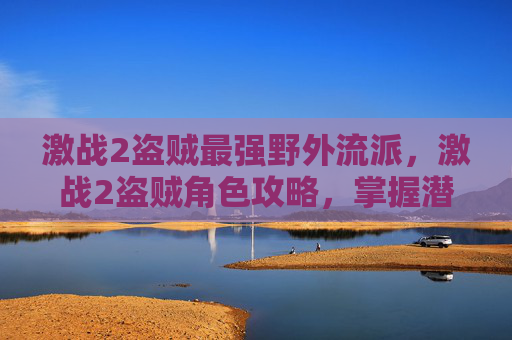 激战2盗贼最强野外流派，激战2盗贼角色攻略，掌握潜行与攻击的艺术