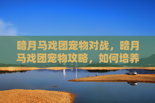暗月马戏团宠物对战,暗月马戏团宠物攻略,如何培养你的小马戏团明星 暗月马戏团宠物对战,暗月马戏团宠物攻略,如何培养你的小马戏团明星