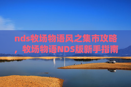 nds牧场物语风之集市攻略，牧场物语NDS版新手指南，从零开始打造你的梦幻农场