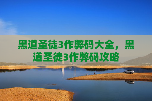 黑道圣徒3作弊码大全,黑道圣徒3作弊码攻略 黑道圣徒3作弊码大全,黑道圣徒3作弊码攻略