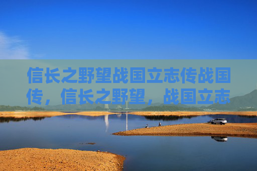 信长之野望战国立志传战国传,信长之野望,战国立志传全面攻略 信长之野望战国立志传战国传,信长之野望,战国立志传全面攻略