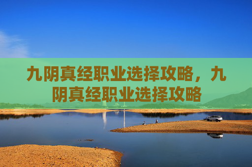 九阴真经职业选择攻略，九阴真经职业选择攻略