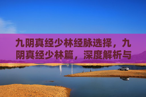 九阴真经少林经脉选择,九阴真经少林篇,深度解析与实战技巧 九阴真经少林经脉选择,九阴真经少林篇,深度解析与实战技巧