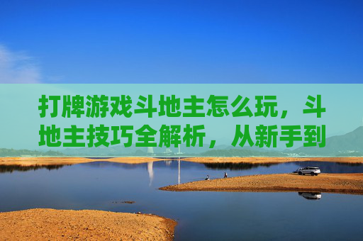打牌游戏斗地主怎么玩，斗地主技巧全解析，从新手到高手的必修课