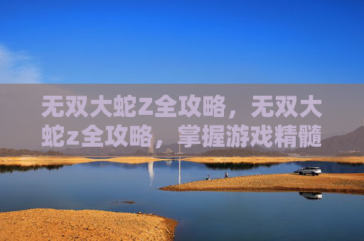 无双大蛇Z全攻略，无双大蛇z全攻略，掌握游戏精髓，成为无双传说