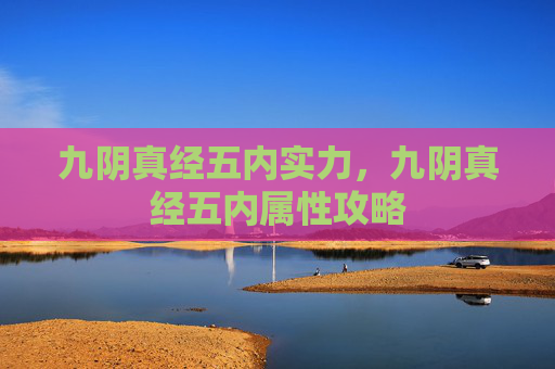 九阴真经五内实力，九阴真经五内属性攻略