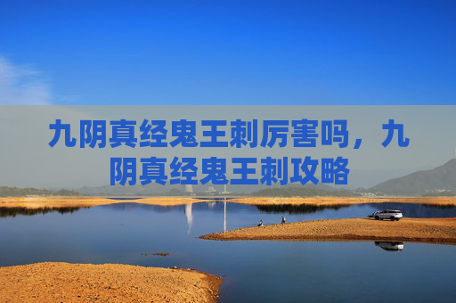 九阴真经鬼王刺厉害吗，九阴真经鬼王刺攻略