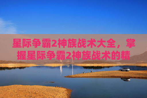 星际争霸2神族战术大全,掌握星际争霸2神族战术的精髓 星际争霸2神族战术大全,掌握星际争霸2神族战术的精髓