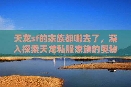 天龙sf的家族都哪去了，深入探索天龙私服家族的奥秘