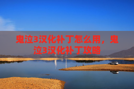 鬼泣3汉化补丁怎么用，鬼泣3汉化补丁攻略
