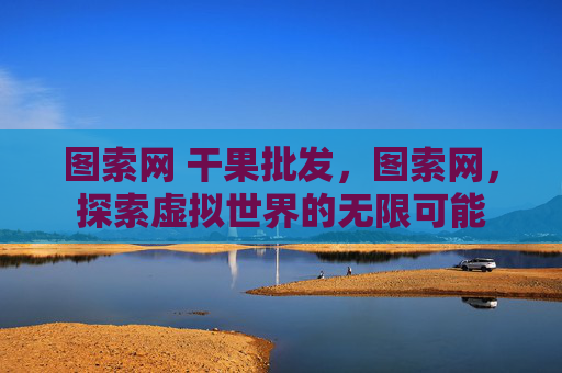 图索网 干果批发，图索网，探索虚拟世界的无限可能