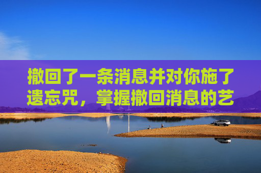 撤回了一条消息并对你施了遗忘咒，掌握撤回消息的艺术，避免尴尬，提升沟通效率
