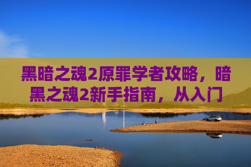 黑暗之魂2原罪学者攻略,暗黑之魂2新手指南,从入门到精通的全面攻略 黑暗之魂2原罪学者攻略,暗黑之魂2新手指南,从入门到精通的全面攻略