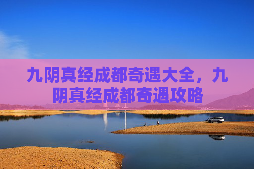 九阴真经成都奇遇大全，九阴真经成都奇遇攻略