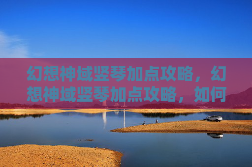 幻想神域竖琴加点攻略，幻想神域竖琴加点攻略，如何最大化你的竖琴角色潜力？