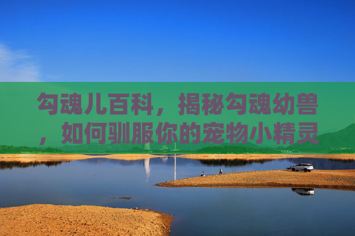 勾魂儿百科，揭秘勾魂幼兽，如何驯服你的宠物小精灵