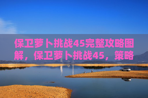 保卫萝卜挑战45完整攻略图解，保卫萝卜挑战45，策略与技巧全解析