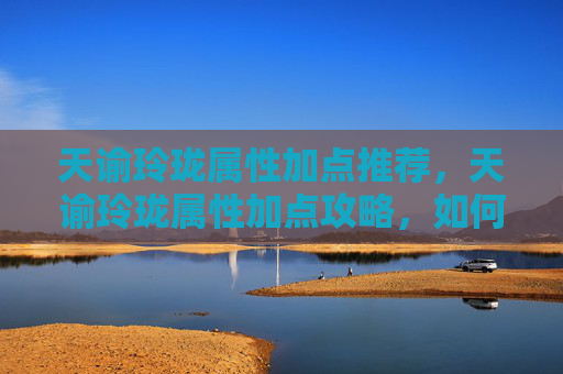 天谕玲珑属性加点推荐，天谕玲珑属性加点攻略，如何最大化你的玲珑角色潜力