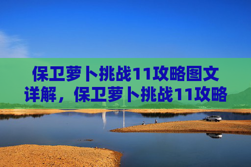 保卫萝卜挑战11攻略图文详解,保卫萝卜挑战11攻略 保卫萝卜挑战11攻略图文详解,保卫萝卜挑战11攻略