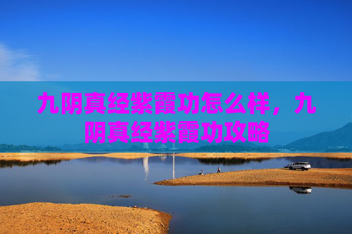 九阴真经紫霞功怎么样，九阴真经紫霞功攻略