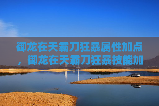 御龙在天霸刀狂暴属性加点，御龙在天霸刀狂暴技能加点攻略