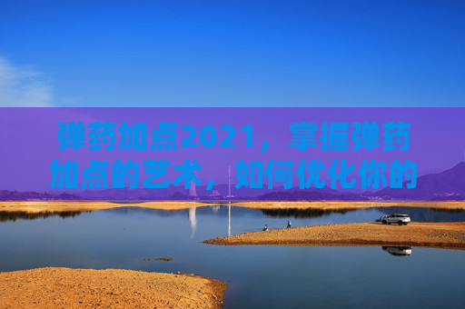 弹药加点2021，掌握弹药加点的艺术，如何优化你的射击体验