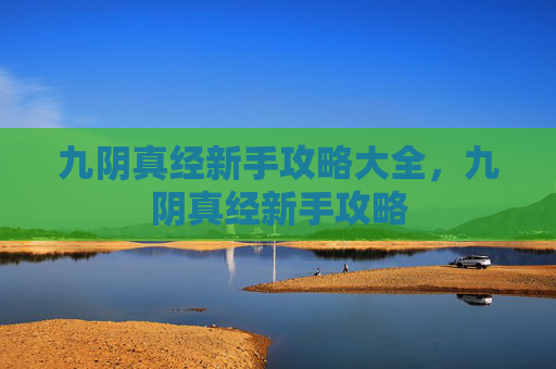 九阴真经新手攻略大全，九阴真经新手攻略
