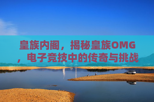 皇族内阁,揭秘皇族OMG,电子竞技中的传奇与挑战 皇族内阁,揭秘皇族OMG,电子竞技中的传奇与挑战