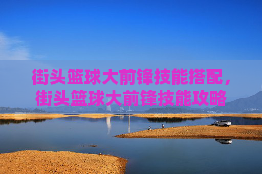 街头篮球大前锋技能搭配,街头篮球大前锋技能攻略 街头篮球大前锋技能搭配,街头篮球大前锋技能攻略