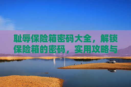 耻辱保险箱密码大全,解锁保险箱的密码,实用攻略与技巧 耻辱保险箱密码大全,解锁保险箱的密码,实用攻略与技巧